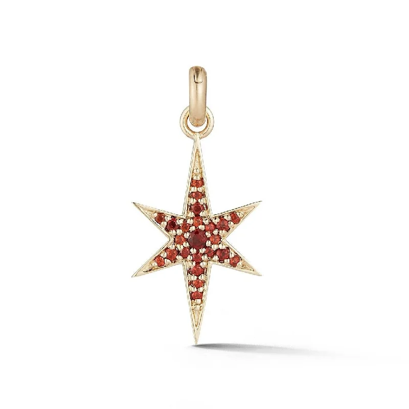 14K Gold & Garnet Stella Charm